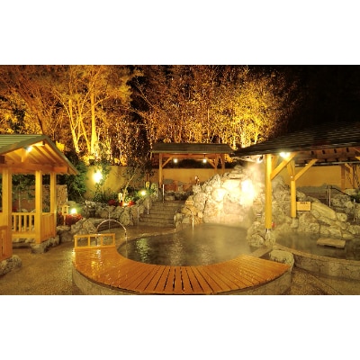 おかざき楽の湯　全日入泉券17枚