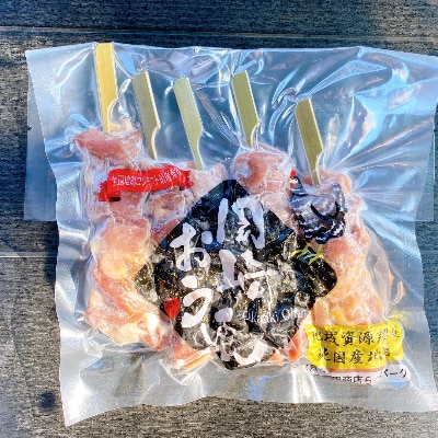 岡崎おうはん地鶏　焼き鳥セット　ギフトやおもてなし、バーベキューにおすすめ【配送不可地域：離島】