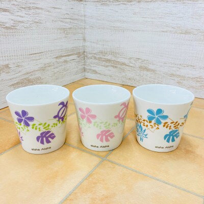 ハイミニアロハ　3個セット【オススメ観葉植物でお届け】