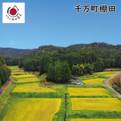 〈ぬかたのミネアサヒ〉千万町棚田米ミネアサヒ (精米) 5kg