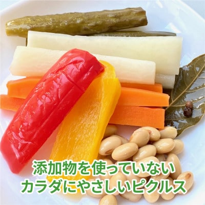 三河野菜の葵ピクルス「あいちの家康酢漬」250g【配送不可地域：離島】