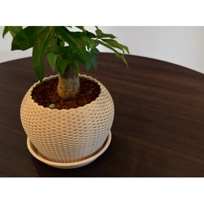植木鉢「POT-3」