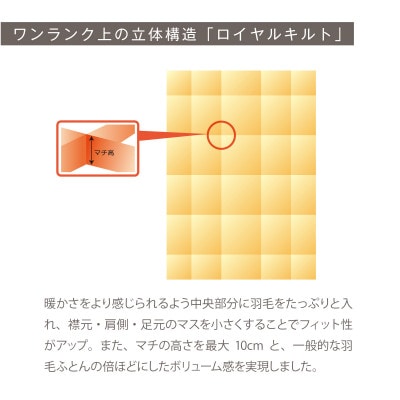 [夏用]究極に軽く、蒸れない羽毛ふとん (セミダブルロングサイズ)170x210cm(HVG)