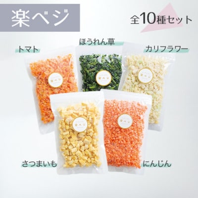 冷凍フルーツと野菜を手軽に!ダイスフルーツと野菜の楽ベジ10種セット【配送不可地域：離島】