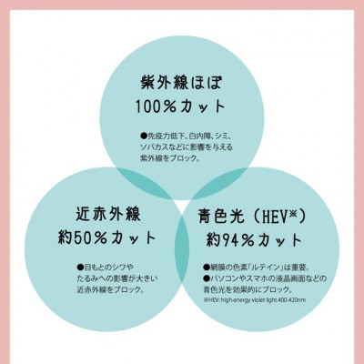 ウルトラガード クラシック BK/ブルーグレー