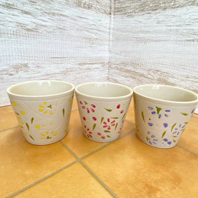 ハイミニフルール　3個セット【オススメ観葉植物でお届け】