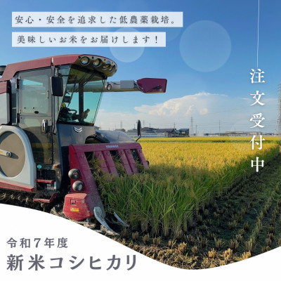 農家直送!令和7年度産低農薬コシヒカリ10kg(5kg×2袋)