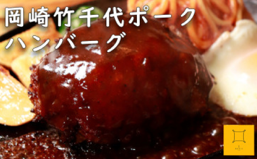 【新ブランド豚使用】愛知県岡崎市から贈る、岡崎竹千代ポークのハンバーグと自家製白味噌ドレッシング【配送不可地域：離島】