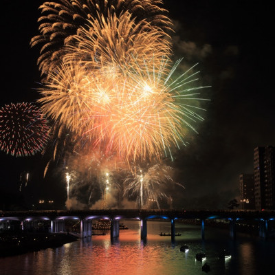 岡崎城下家康公夏まつり第77回花火大会「乙川マス席南-マスB席」チケット