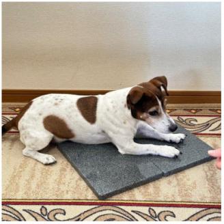 STONE『ひんやり』MAT