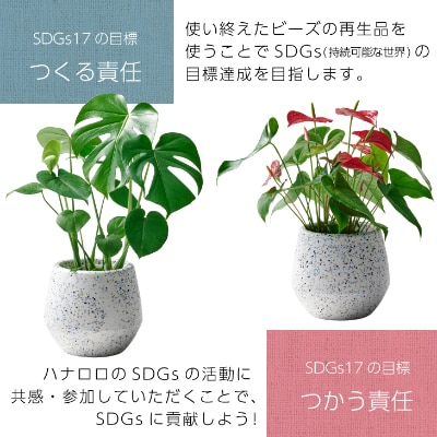 【ハナロロ】 サステナブル 7色ビーズの鉢カバー　