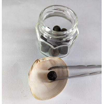 体験チケット【岡崎市・家康香づくり体験】～家康公の遺したお香のレシピを再現～