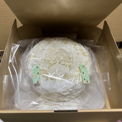 フランクフルタークランツ　6号　約18センチ【配送不可地域：離島】