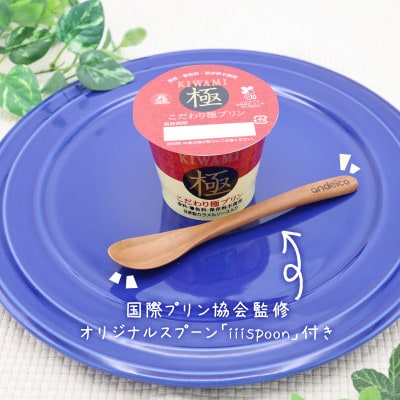 こだわり極プリンとプリン専用スプーンのセット【配送不可地域：離島】