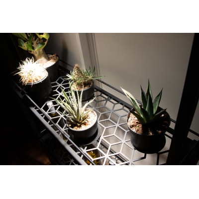 Metal Grow プラントラック-780-　植物棚