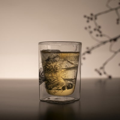 【RayES/レイエス】ダブルウォールグラス　RDS-002　300ml　墨絵・龍