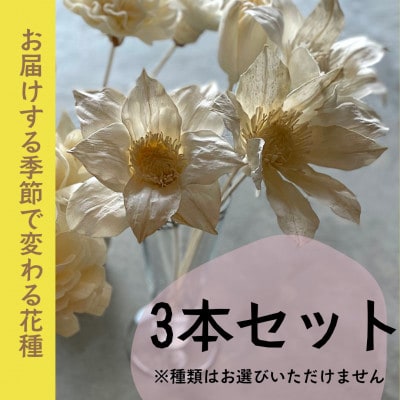 ディフューザー用ウッドフラワー