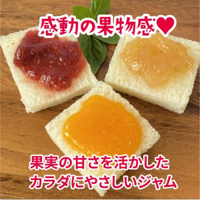 葵ピクルス「あいちの家康」250gびん1本＆葵ジャム140g3種セット【配送不可地域：離島】