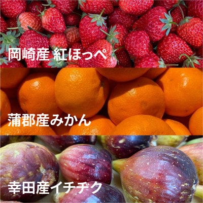 三河果実の葵ジャム140g3種セット【配送不可地域：離島】