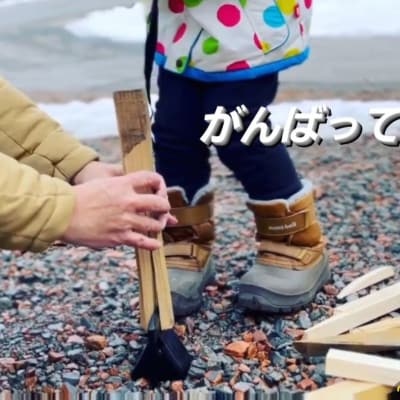 黒塗装　くさび型薪割り　富士山