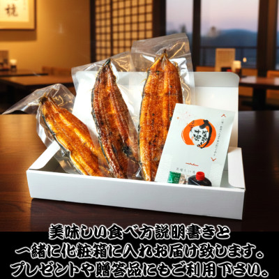 炭火手焼き☆三河一色産うなぎ蒲焼　1尾　うなぎ十楽【配送不可地域：離島】