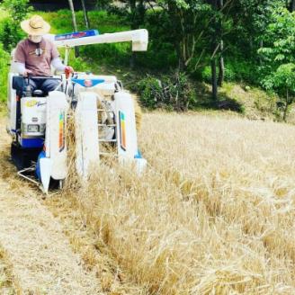 岡崎クラフトビール4本セット