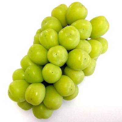 生産者直送!　シャインマスカット　約1.6kg【配送不可地域：離島】