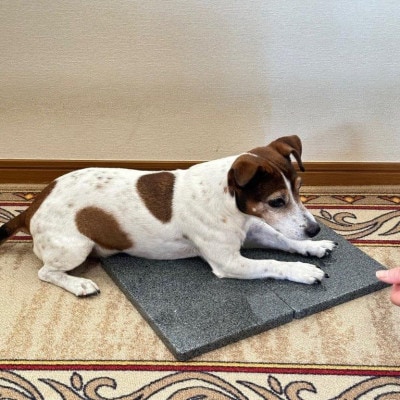 STONE『ひんやり』MAT (2枚組)