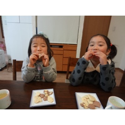 国内産小麦100%　切って焼くだけ!冷凍クッキー生地　シート4枚セット(プレーン3枚・ココア1枚)【配送不可地域：離島】