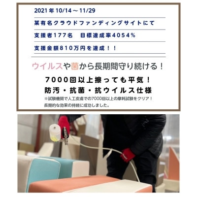 PLAYクッション+ デラックス パステル