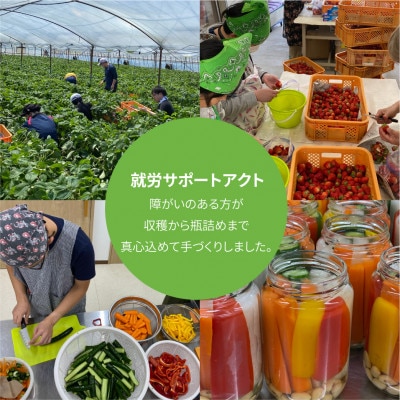 三河野菜の葵ピクルス「あいちの家康酢漬」250gびん2本【配送不可地域：離島】