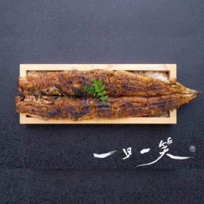 愛知県産大うなぎ蒲焼660g【配送不可地域：離島】