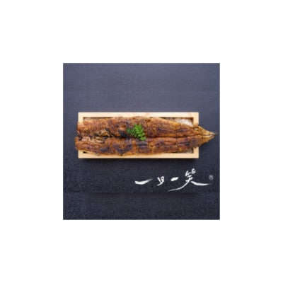 愛知県産大うなぎ蒲焼660g地酒冷酒セット【配送不可地域：離島】