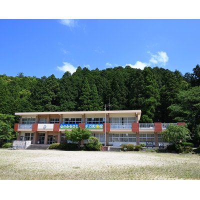 ラリージャパン【額田SS観戦券/大人2名(P＆R)くらがり渓谷駐車場発】