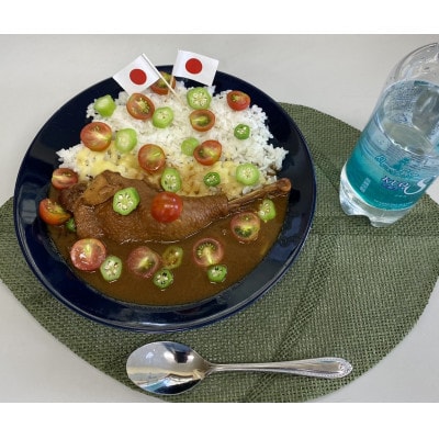 【食卓が騒然】国産おやどりの骨付きモモが丸ごと1本!/六ツ美のあの肉カレー中辛(2個セット)