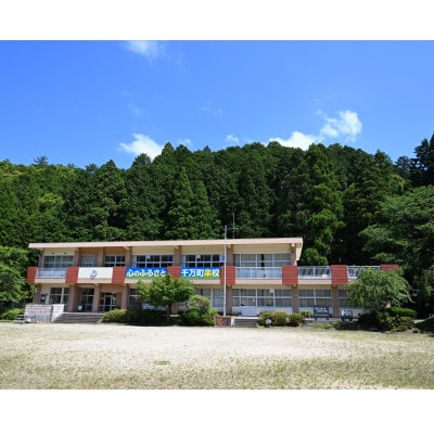 ラリージャパン【額田SS　千万町楽校観戦券/大人2名+子ども1名(P＆R)くらがり渓谷駐車場発】