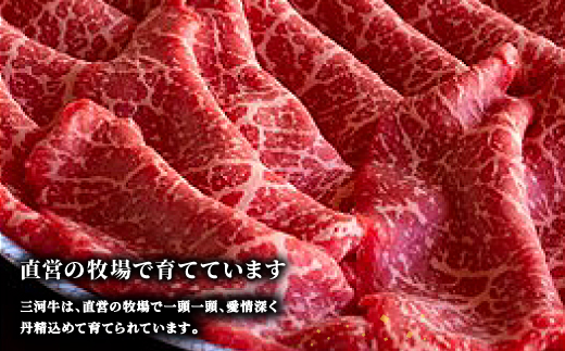 三河牛(黒毛和種)A5等級モモすき焼き用600g　直営巴山牧場産【配送不可地域：離島】