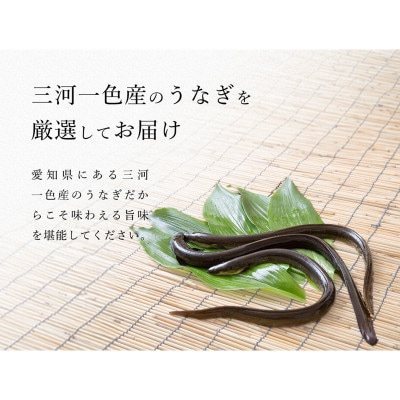 炭火手焼き☆三河一色産うなぎ蒲焼　2尾　うなぎ十楽【配送不可地域：離島】