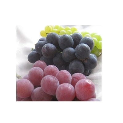 岡崎駒立ぶどう3種詰め合わせ2kg【配送不可地域：離島】