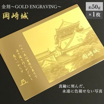 金刻～GOLD　ENGRAVING～(岡崎城)
