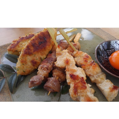 岡崎おうはん地鶏　焼き鳥セット　ギフトやおもてなし、バーベキューにおすすめ【配送不可地域：離島】