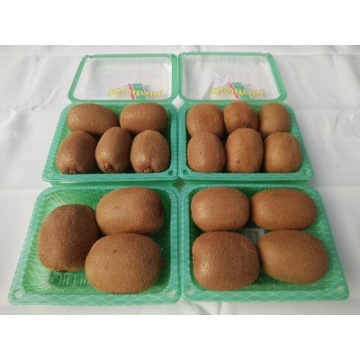 愛知県岡崎市産キウイフルーツ(ヘイワード)約2kg(17~18玉入)【配送不可地域：離島】