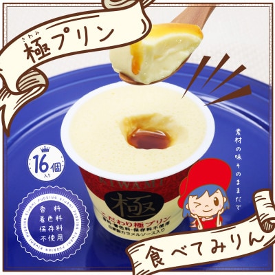 こだわり極プリンとプリン専用スプーンのセット【配送不可地域：離島】