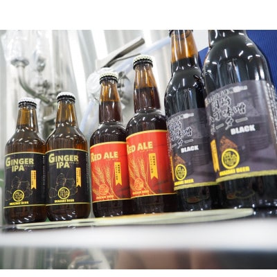 【岡崎ビール】ジンジャーIPA,レッドエール、岡崎八丁味噌ポーター　3種6本セット【配送不可地域：離島】