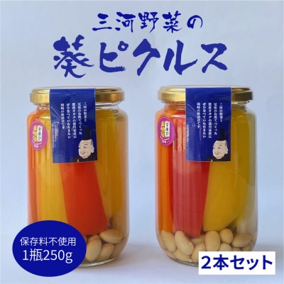 三河野菜の葵ピクルス「あいちの家康酢漬」250gびん2本【配送不可地域：離島】