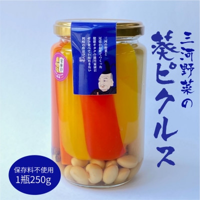 三河野菜の葵ピクルス「あいちの家康酢漬」250g【配送不可地域：離島】