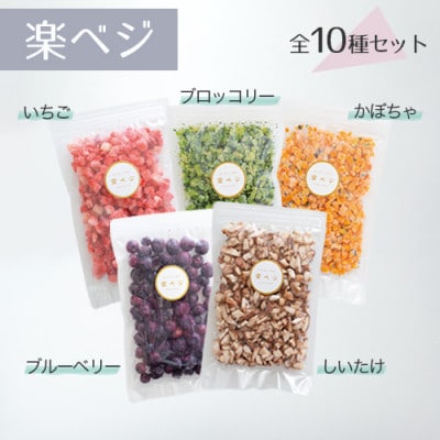 冷凍フルーツと野菜を手軽に!ダイスフルーツと野菜の楽ベジ10種セット【配送不可地域：離島】