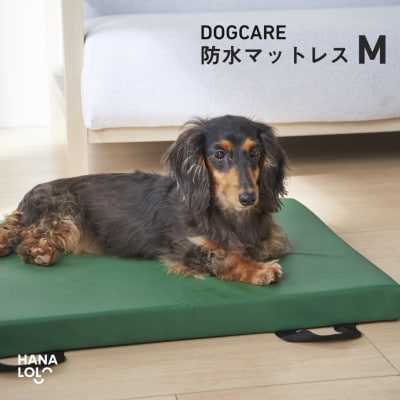ドッグケア　床ずれ予防マットレス　M