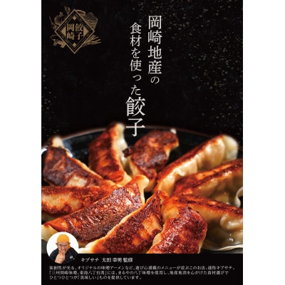 岡崎餃子【配送不可地域：離島】