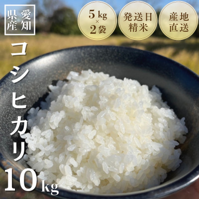 農家直送!令和7年度産低農薬コシヒカリ10kg(5kg×2袋)